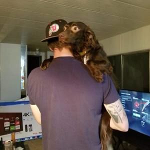 Meet your Posher, James